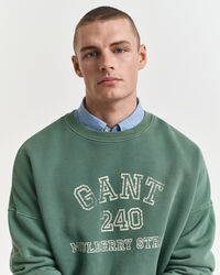 Rundhalsad sweatshirt med tryck